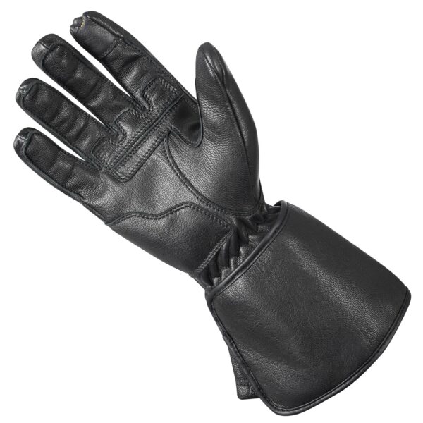 Halvarssons kindad Logan V2 must, 10