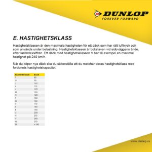 dunlop-sx-gpr300-160-60zr17-69w-tl