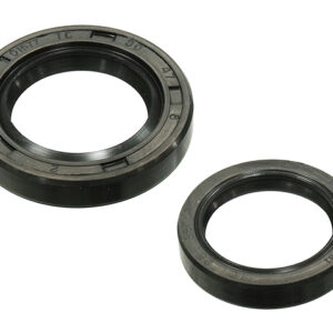 sno-x-oil-sealset-rotax-6