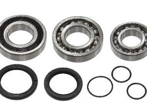 sno-x-chain-case-bearing-kit