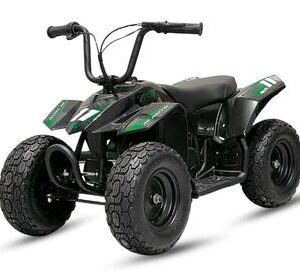 Laste 250w 24v Mini Quad ATV