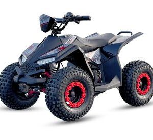 Elektriline ATV 1200w Shaft