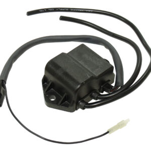 sno-x-cdi-uksus-polaris-2