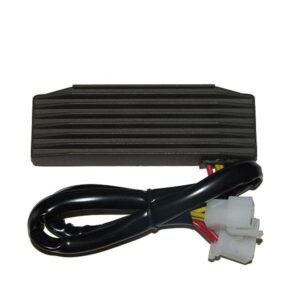 electrosport-pingeregulaator-uhtlusti-suzuki-2