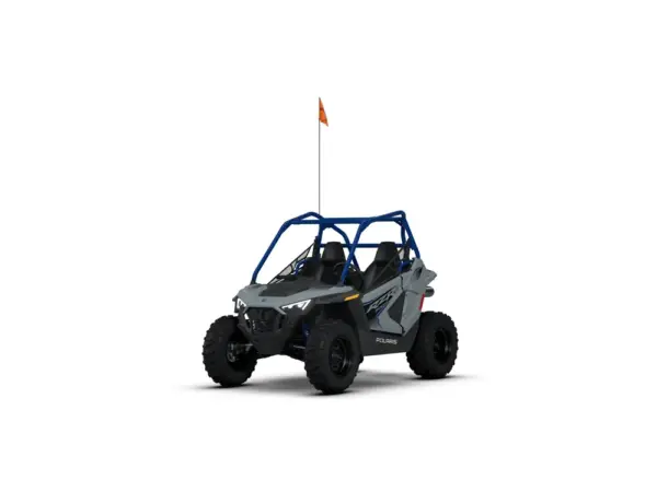 Polaris RZR 200