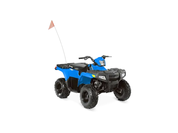 Polaris Sportsman 110 EFI