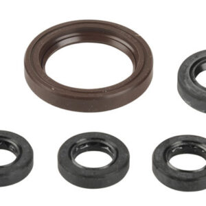 Athena simmerlingute komplekt KTM EXCSX Race. 250.400.525.00-06.03-07