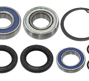 sno-x-chain-case-bearing-kit-polaris-5