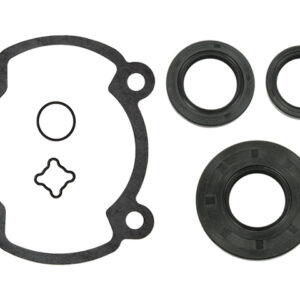 sno-x-full-set-w-oil-seals-rotax-250-fc