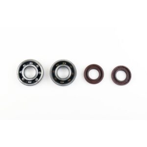 athena-skf-crank-bearings-oilseals-derbi-senda-05-06-aprilia-rx-rs-06