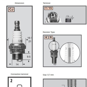 champion-sparkplug-rcj8y