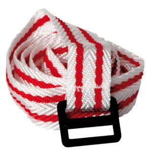 spare-battery-fastening-strap