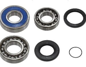 sno-x-chain-case-bearing-kit-yamaha-4