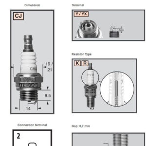 champion-sparkplug-rcj7y