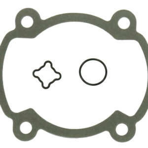 sno-x-top-gasket-rotax-250-fc-2