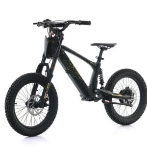 500w EVO 18