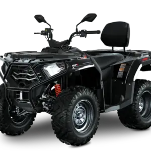 loncin-xwolf-300-t3b