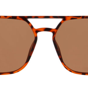 spect-red-bull-elroy-sunglasses-shiny-havana-w-brown-lens
