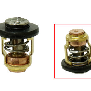sea-x-thermostat-60c-140f-yamaha