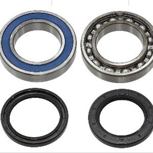 sno-x-chain-case-bearing-kit-arctic-cat-5