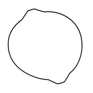 prox-clutch-cover-gasket-yz250-99-20