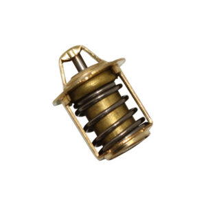 thermostat-minarelli-am6