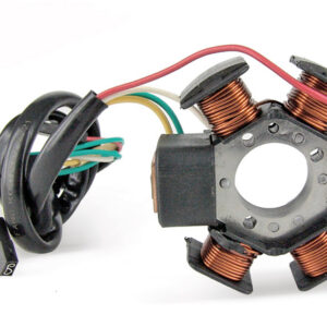 tnt-stator-ducati-model-minarelli-am6-derbi-motor-ebe-ebs-d50b