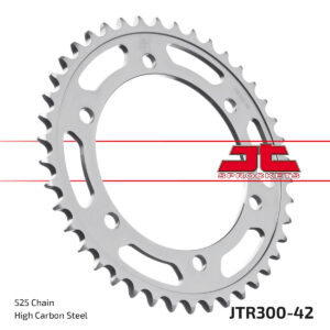 JT tagumine hammasratas JTR300.42