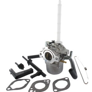 Skana karburator B&S 20A412-20C114-20M214